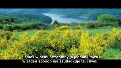 Eckhart Tolle (PL) - Akceptacja i poddanie (rozdział z książki "Mowa ciszy")