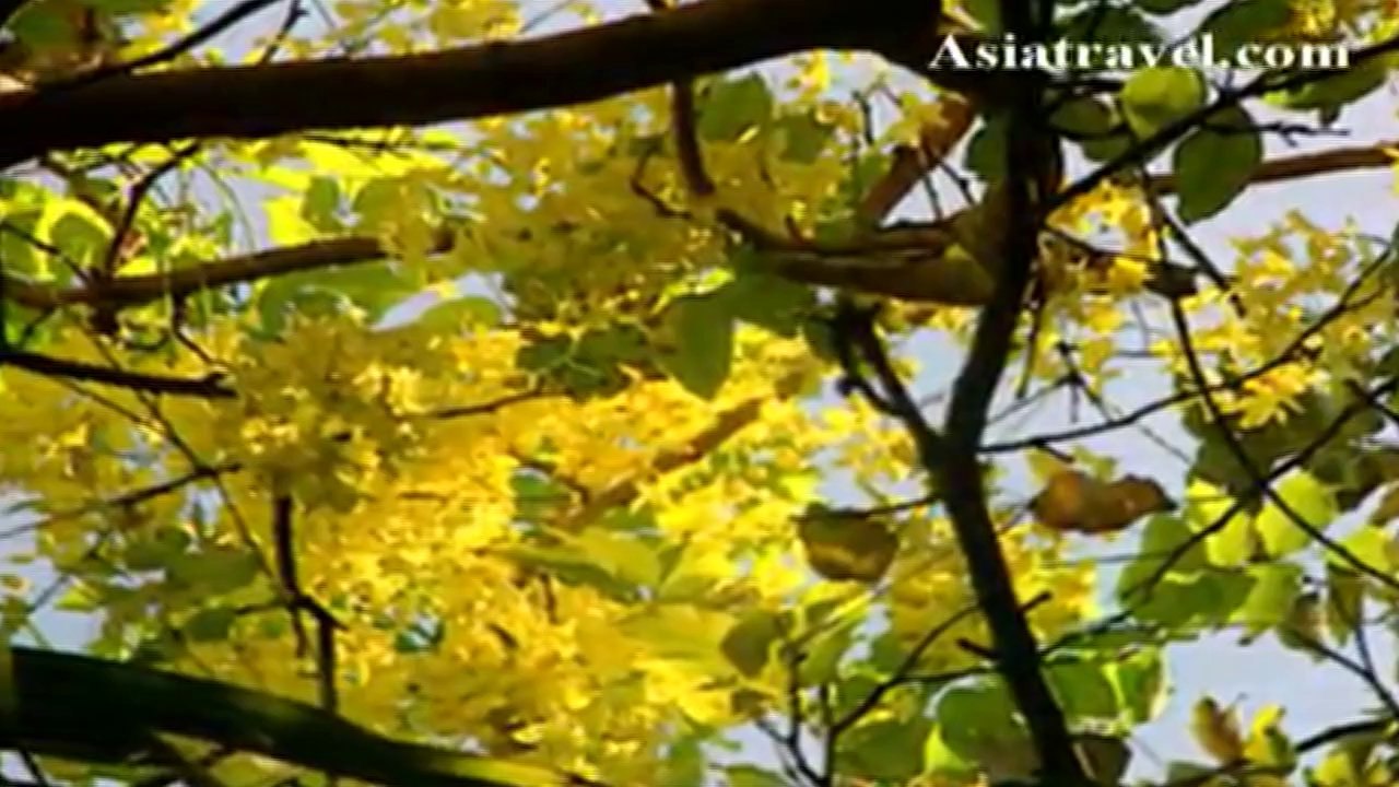 Soneva Fushi Resort, Maldives by Asiatravel.com