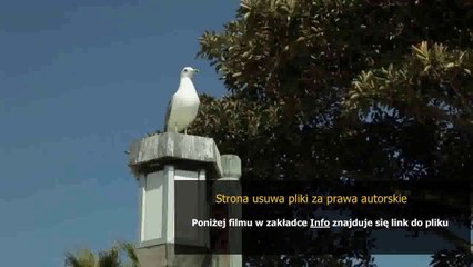 instrukcja pralki polar lt 613