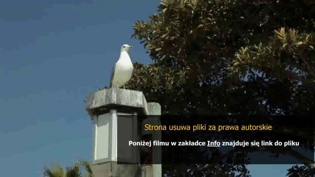 instrukcje bhp przy obsludze komputera i drukarki