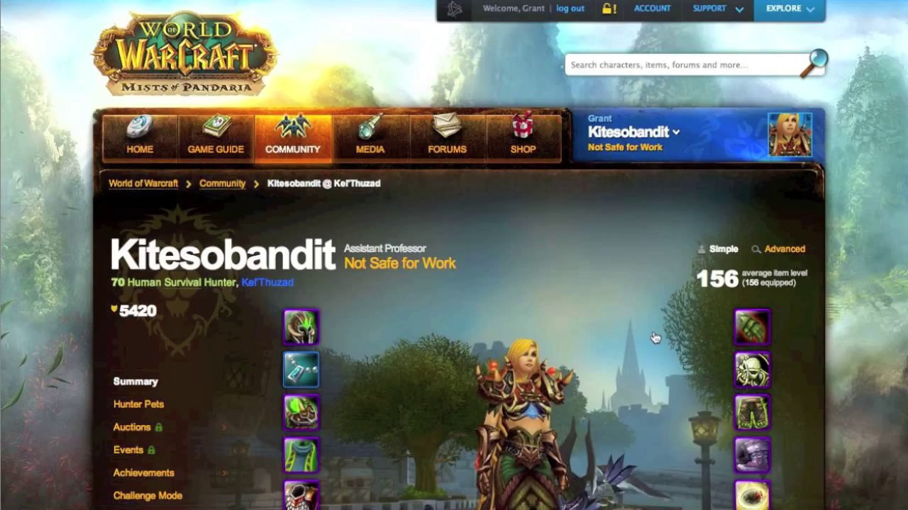 PlayerUp.com - Buy and Sell Accounts - (SOLD) Selling World of Warcraft Account