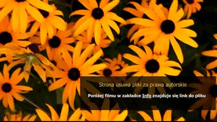 skuteczny sposob na rybiki