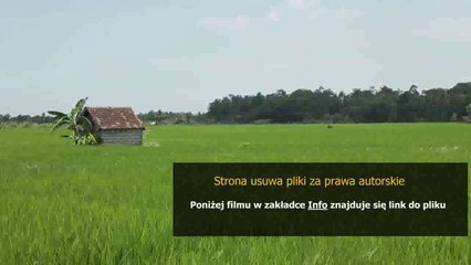 kupon facebook allegro