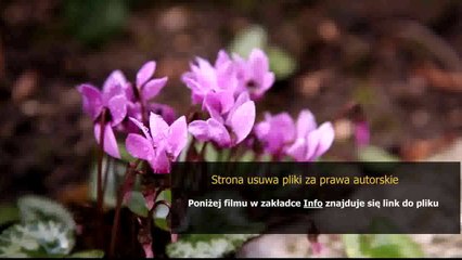 gra james bond 007 bloodstone poradnik