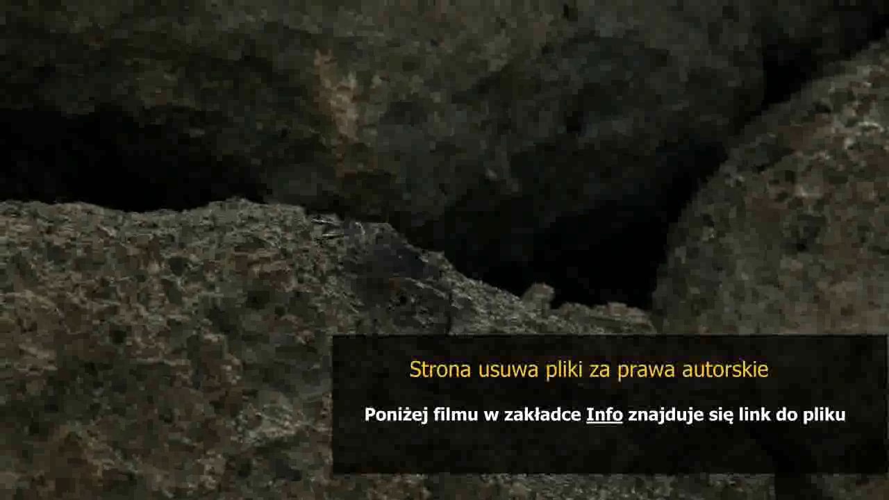 instrukcja obslugi peugeot 407 sw po polsku