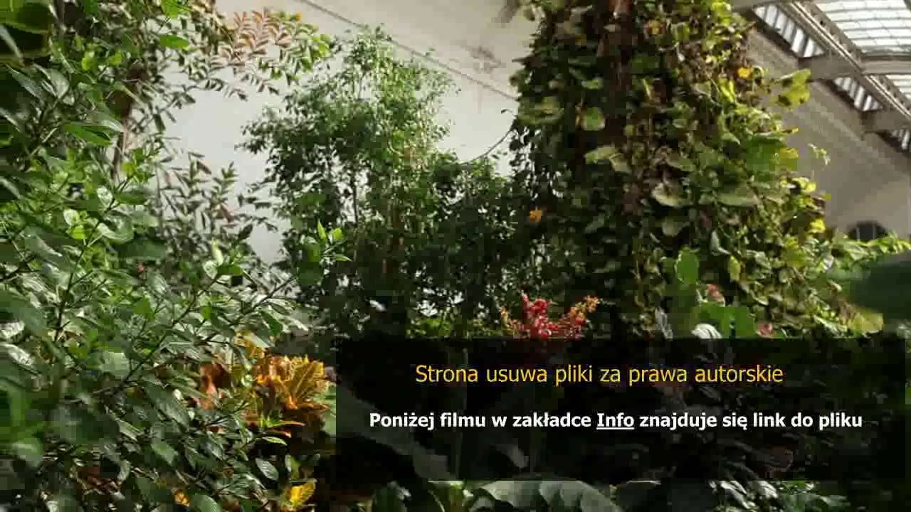instrukcja do sony hx100v