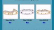 Diamonds Wedding Bands in Nevada NV, Earrings and Studs in Alaska AK