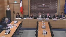 Audition de M. Christian Martin, conseiller maître à la Cour des comptes  - Mardi 11 Février 2014