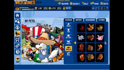 PlayerUp.com - Buy Sell Accounts - Wild Ones Main Account For Sale