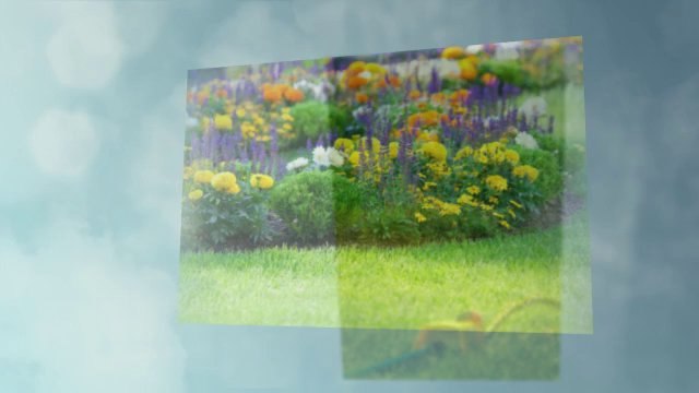 Don's Gardening & Landscape - (206) 784-8220