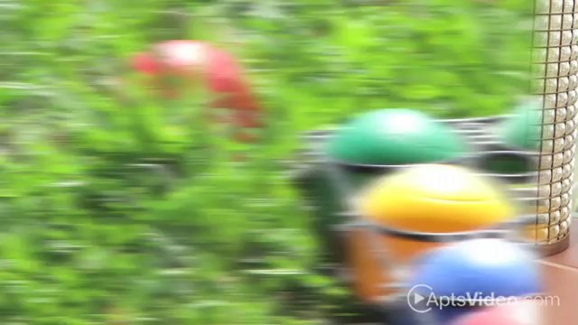 The Reserve Collier Hills Apartments in Atlanta, GA - ForRent.com