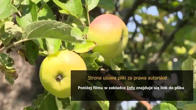 instrukcja montazu zmywarki bosch spv53m10eu