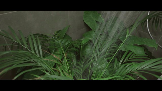 Yannis Kotsiras - Gia Sena