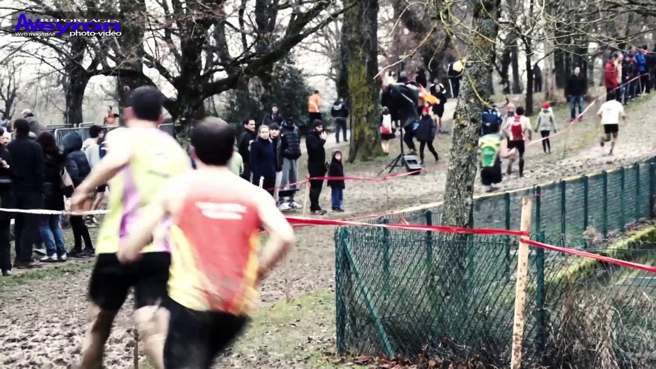 Cross 2014