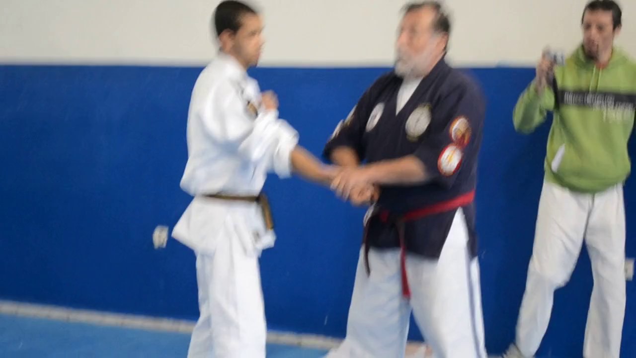 Torité intérieur expliqué par Jean-Paul BINDEL, Hanshi