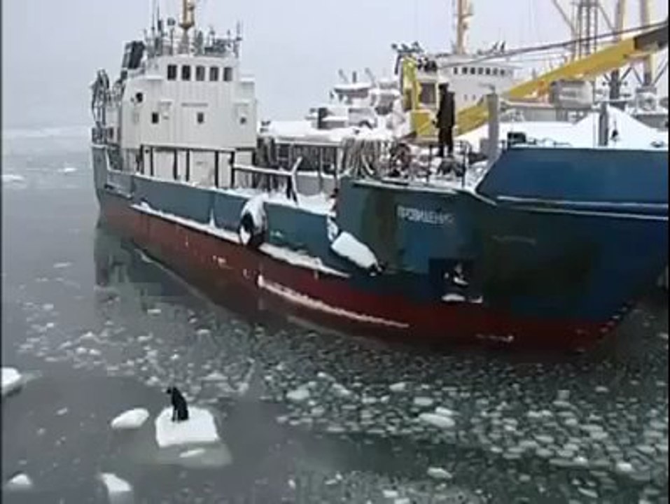 How Many likes for this man.