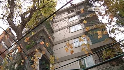 FRIULI,ALLARME FURTI