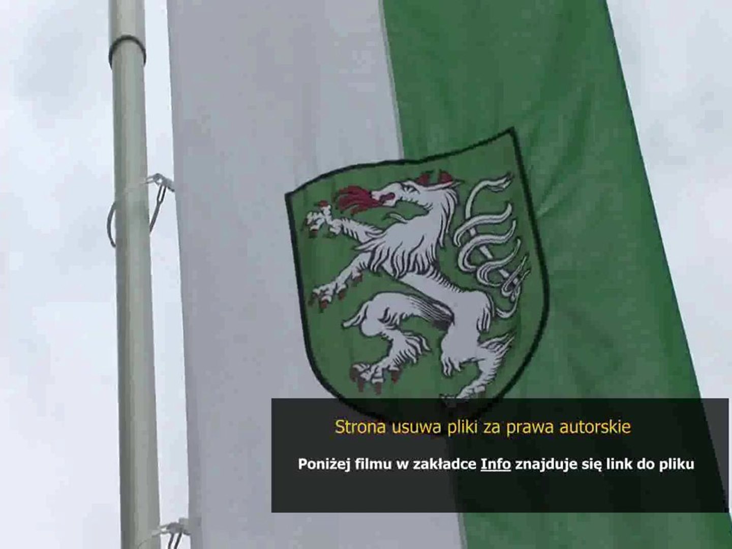 instrukcja case java