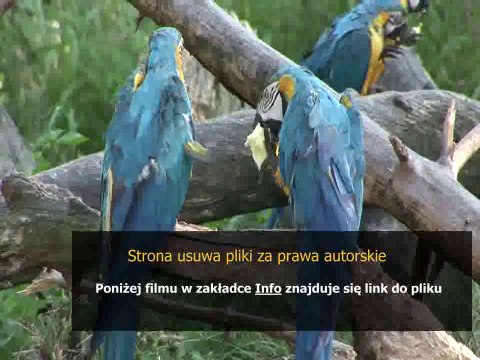 instrukcja obslugi pralki bosch wlf20261pl