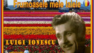 Luigi Ionescu Frumoasele-mele-lalele