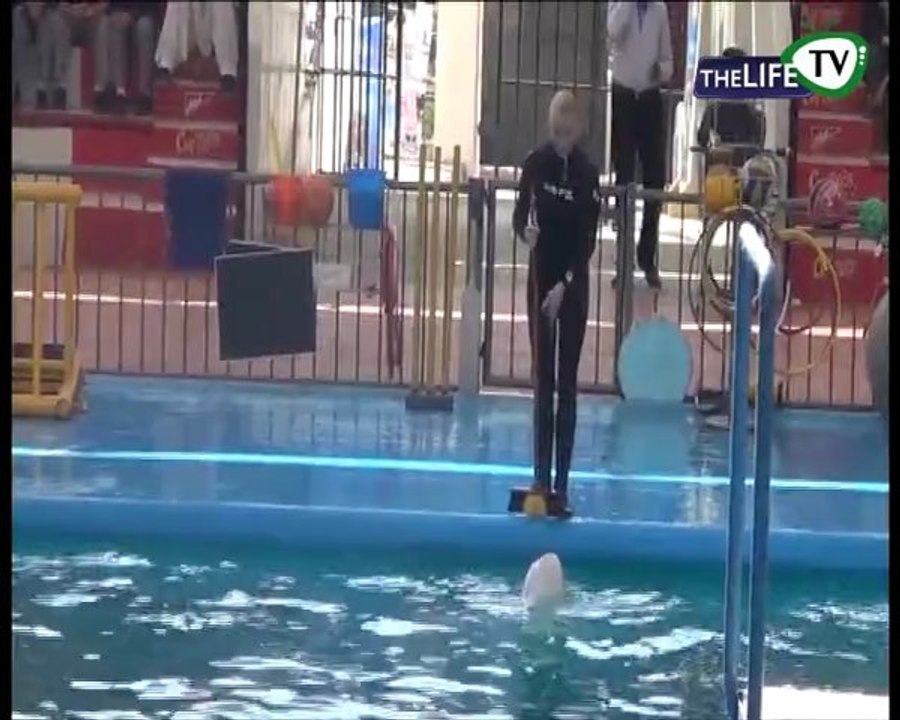 Life Ki Subah (Special Dolphin Show)