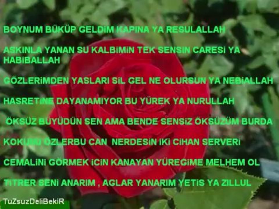 Sami Özer - Aşkın İle Aşıklar (Nihavend İlahi)