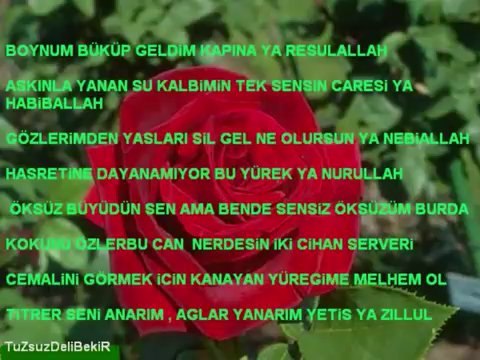 Sami Özer - Aşkın İle Aşıklar (Nihavend İlahi)