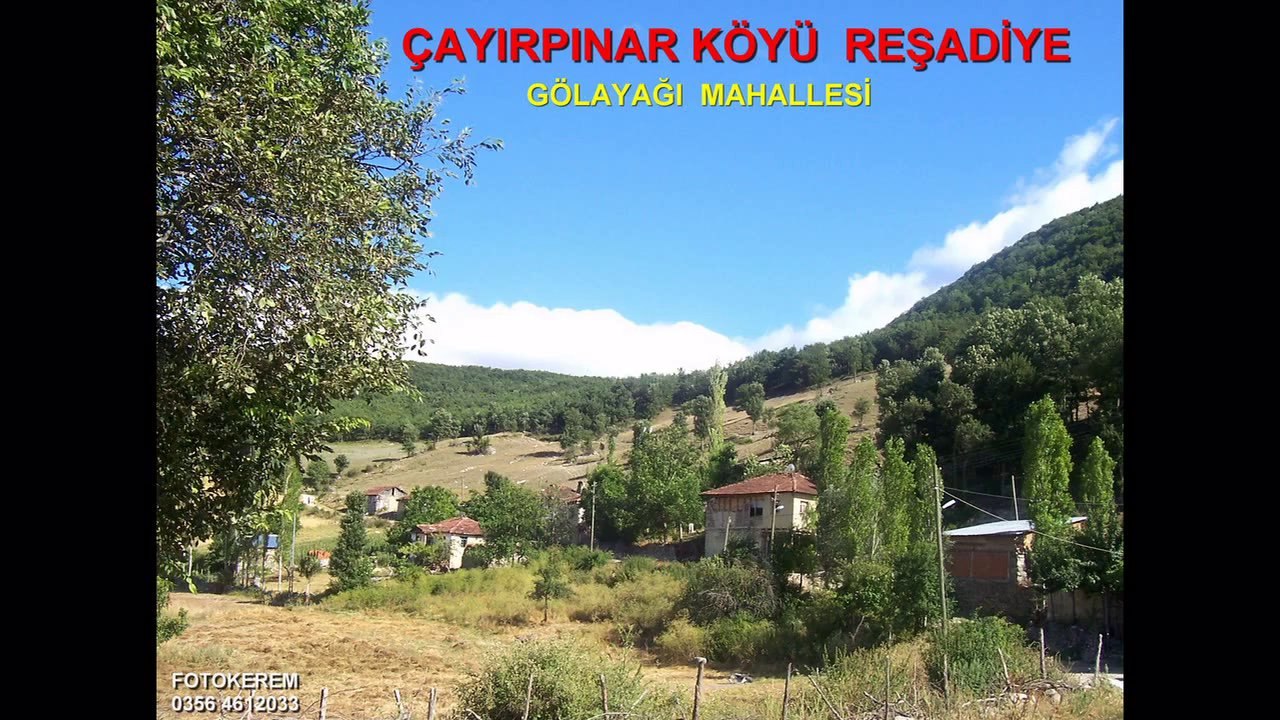 Ellik - Zafer Gül _ Tokat Reşadiye Çayirpinar Köyü