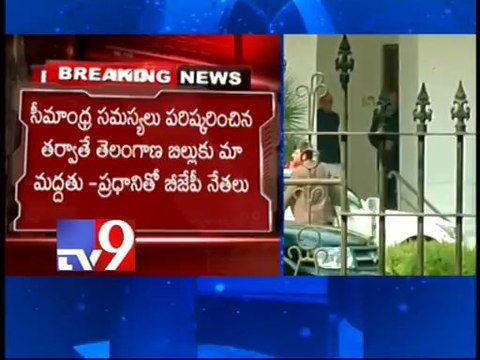 BJP leaders meet PM Manmohan, demand justice to Seemandhra