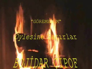 "GÖREMEDİM" (ÖYLESİNE SATIRLAR) BOJİDAR ÇİPOF