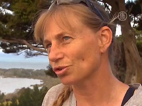 9 косаток выбросились на берег в Новой Зеландии