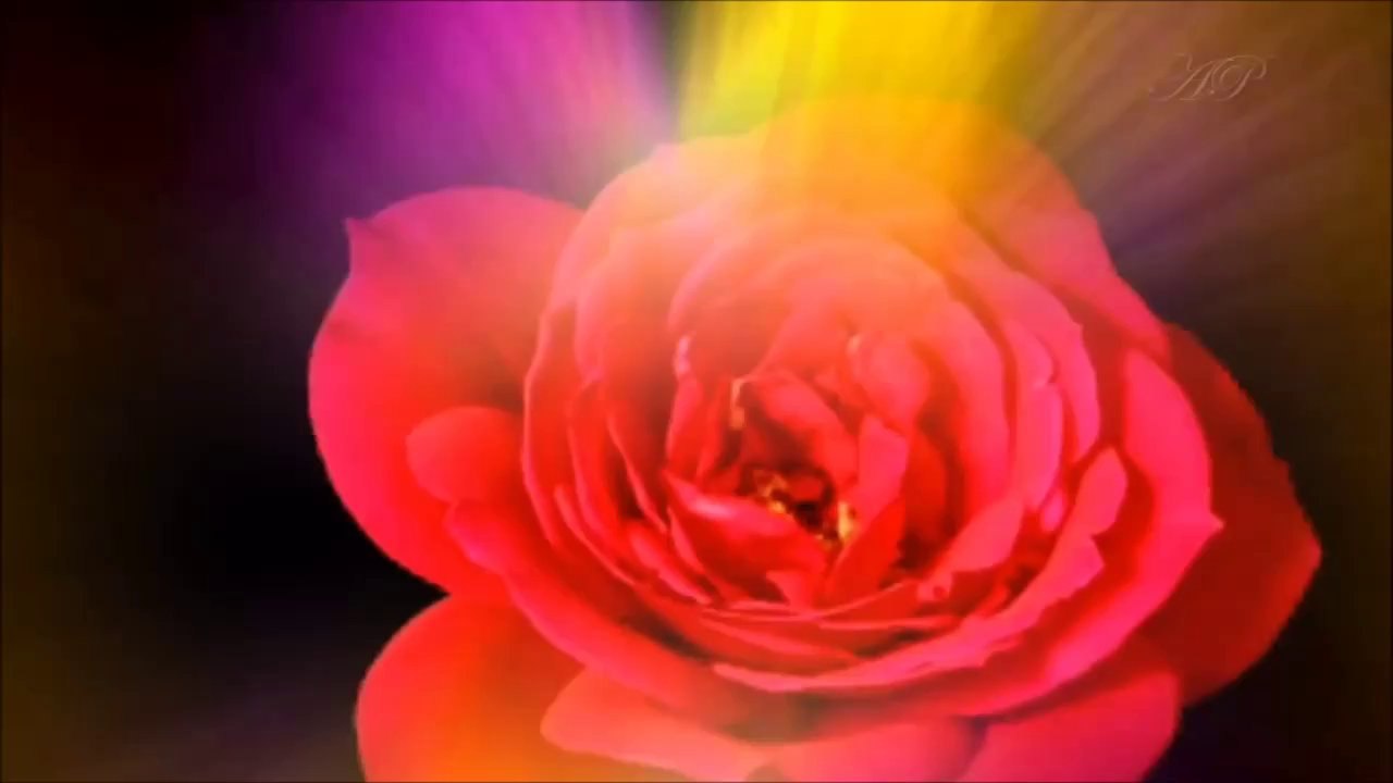 Ola" για Ολα"  2014   χρόνια πολλα