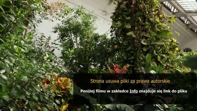 instrukcja montazu zmywarki do zabudowy bosch