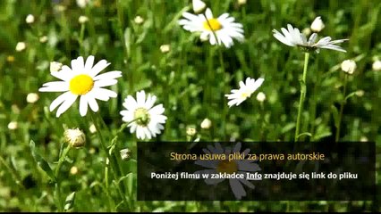 kupon rabatowy do h m