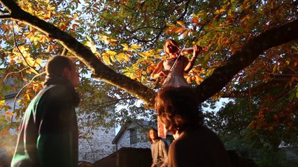 Les humeurs cérébrales - " Les oies dans le champ du voisin" CLIP