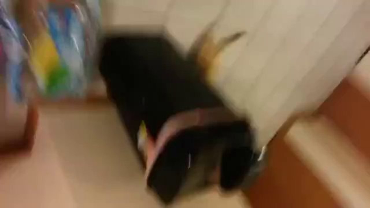 Ein süßer Taschendieb