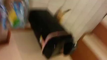 Ein süßer Taschendieb