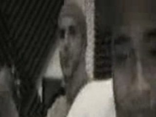 Ness et Cite - International