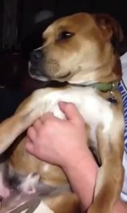 Es fühlt sich gut an ein Gangster zu sein