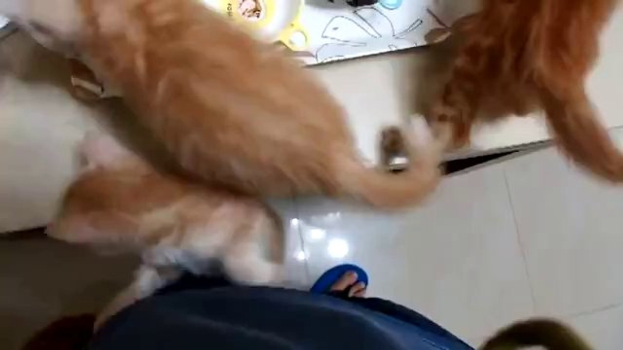 Eine süße Kletterpartie