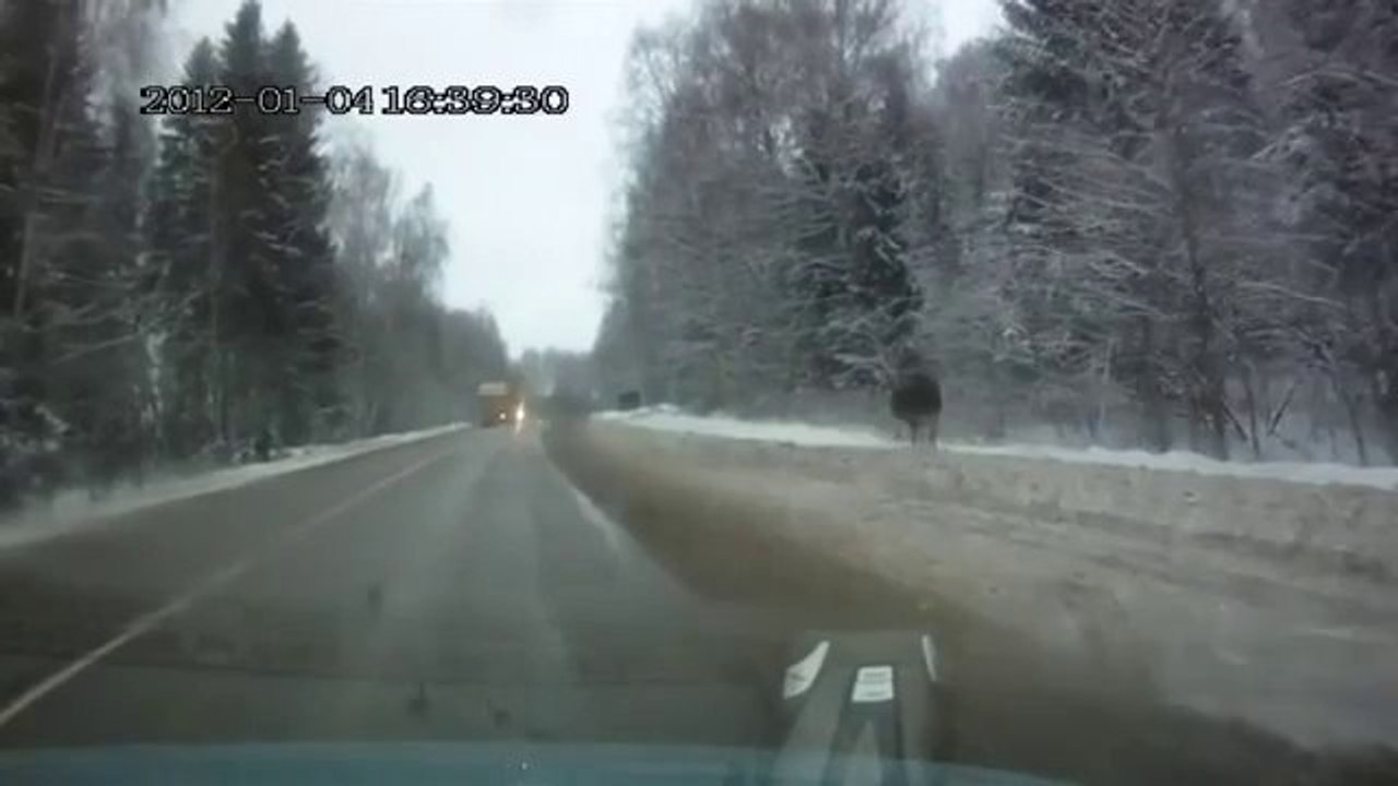 Elch repariert einen Scheinwerfer