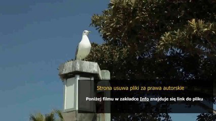 instrukcja serwisowa pralki amica pa5560a411