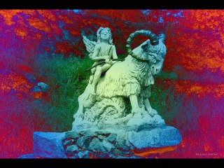 ©LE BONHEUR POEME THOMAS ANDRE PHOTOS&PHOTOS-PEINTURES MARTINE ANCIAUX©