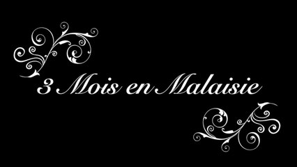 MALAISIE COUP D'OEIL 20 MIN