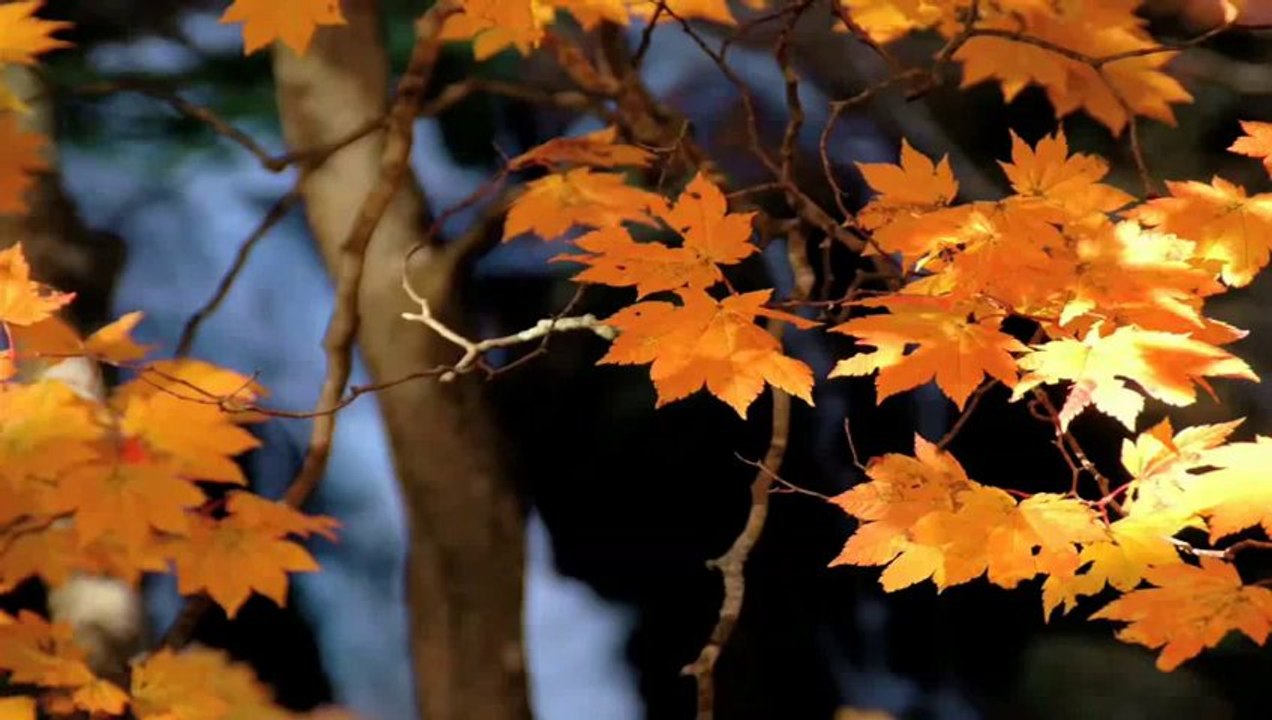 Best Love Song Of 2014 - A Tomorrow by Gallery 59 With Lyrics