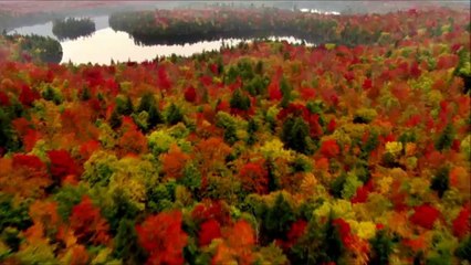 مناظر للطبيعة عالية الدقة مع صوت يبعث الطمأنينة FULL HD- (1)