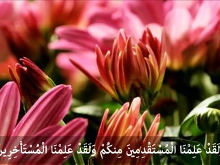 صوت عذب للشيخ خالد الجليل مع مناظر عالية الدقة HD 1080-