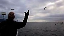 Badass Fisherman Catches Bird Mid-air