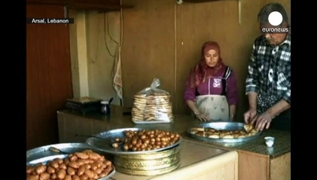 Syrian forces step up offensives in Yabroud and Aleppo