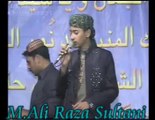 M Ali Raza Sultani  Aaj Is Mahfil cho Allha.03002748780